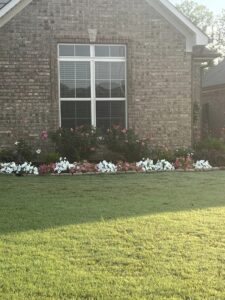 Yard of the Month - June 2023