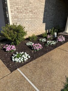 Yard of the Month - July 2023