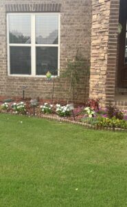 Yard of the Month - August 2023