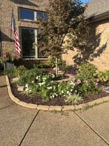 Yard of the Month - October 2023