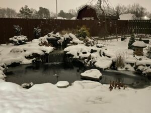 Yard of the Month - January 2024